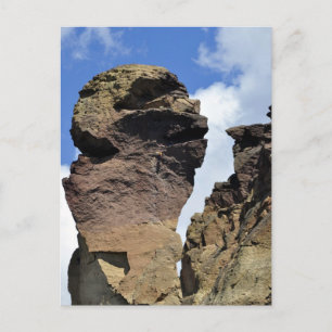 Affengesicht Postkarte