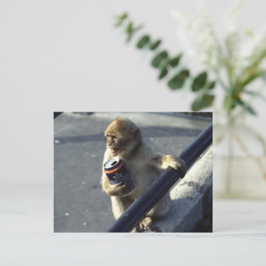 Affengetränk Postkarte (Stehend Vorderseite)