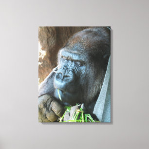 Affenhaube ~ Japanischer Gorilla beim Essen Leinwanddruck