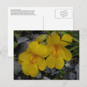 Affeninsel Unalaska Blume Postkarte (Vorne/Hinten)