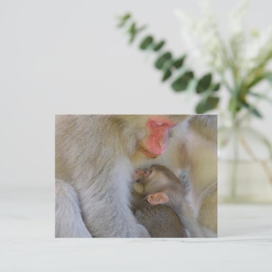 Affenmütterverbindung Postkarte (Stehend Vorderseite)