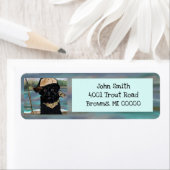 Affenpinscher (Insitu)