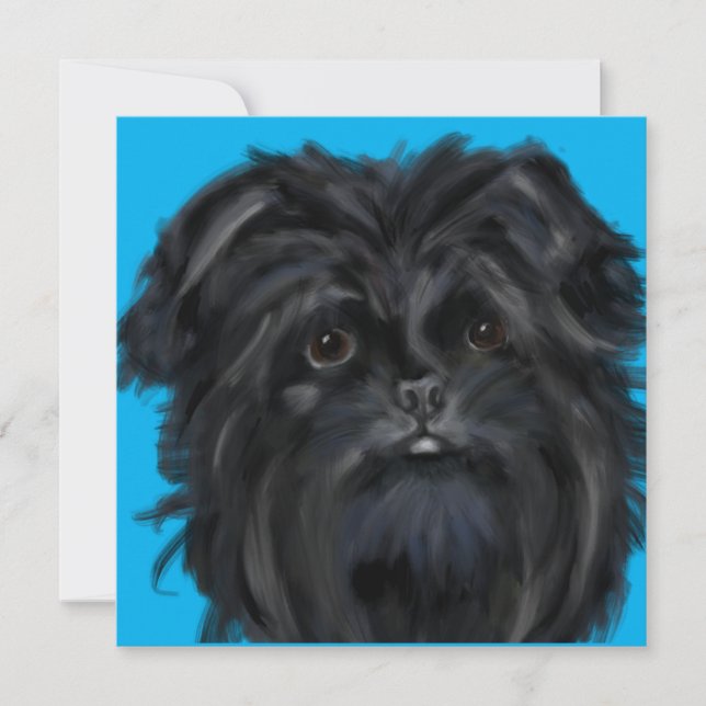 Affenpinscher (Vorderseite)