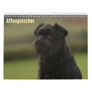 Affenpinscher 2027 Kalender