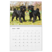 Affenpinscher 2027 Kalender (Mär 2027)