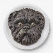 Affenpinscher 3D Inspiriert Pappteller (Vorderseite)