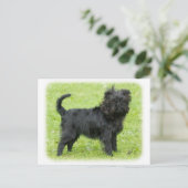 Affenpinscher 9R095D-089 Postkarte (Stehend Vorderseite)