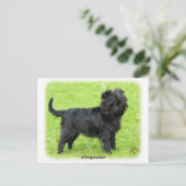 Affenpinscher 9R095D-093 Postkarte (Stehend Vorderseite)