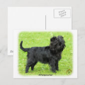 Affenpinscher 9R095D-093 Postkarte (Vorne/Hinten)