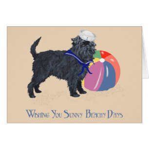 Affenpinscher am Strand