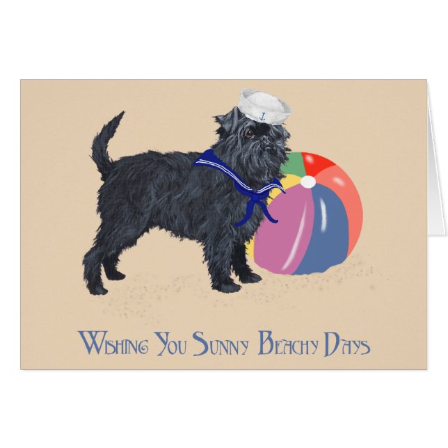 Affenpinscher am Strand (Vorderseite (Horizontal))