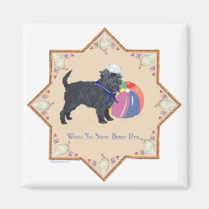 Affenpinscher am Strand Magnet