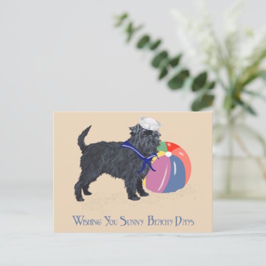 Affenpinscher am Strand Postkarte (Stehend Vorderseite)