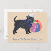 Affenpinscher am Strand Postkarte (Vorne/Hinten)