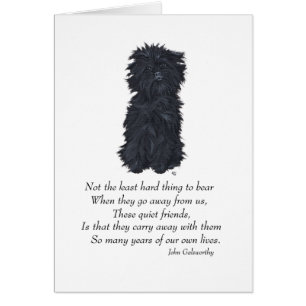 Affenpinscher Andenken