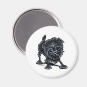 Affenpinscher bei Play Magnet (Vorderseite/Rückseite)