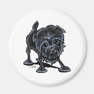 Affenpinscher bei Play Magnet