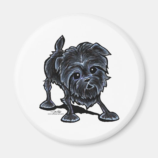 Affenpinscher bei Play Magnet (Vorne)