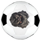 Affenpinscher Black Dog Fußball (Gedreht)