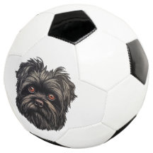 Affenpinscher Black Dog