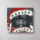 Affenpinscher Canvas Print Leinwanddruck (Vorderseite)