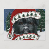 Affenpinscher Canvas Print Postkarte (Vorderseite)