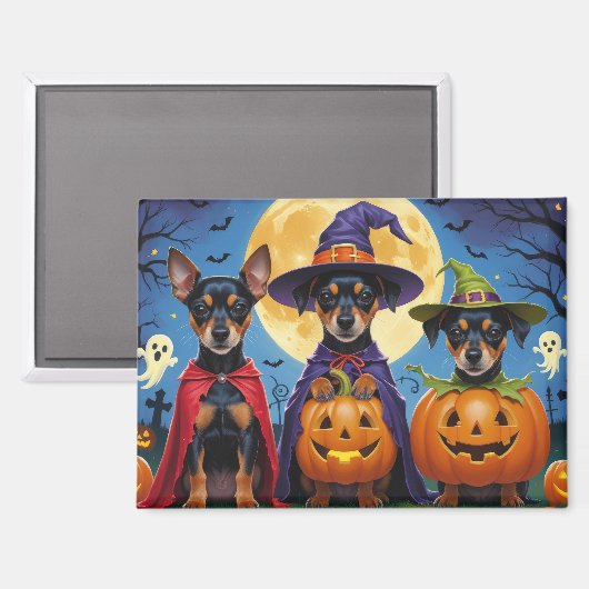Affenpinscher Dogs Pumpkin Halloween Funny Magnet (Vorderseite/Rückseite)