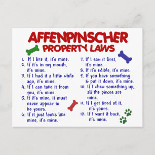 AFFENPINSCHER-Eigentumsrecht 2 Postkarte
