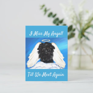 Affenpinscher Engel   Postkarte