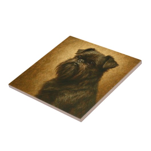 Affenpinscher Fliese (Seite)