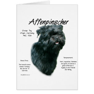 Affenpinscher Geschichtsdesign