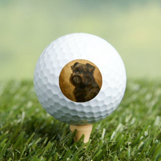 Affenpinscher Golfball (Insitu T-Shirt)