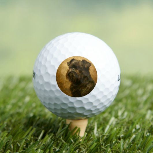 Affenpinscher Golfball (Insitu T-Shirt)