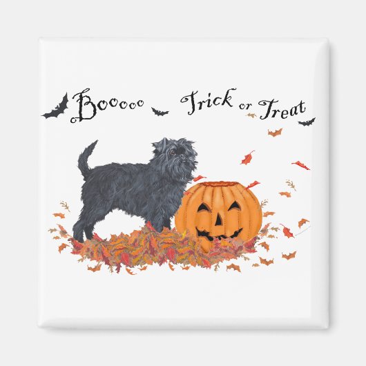 Affenpinscher Halloween Magnet (Vorne)