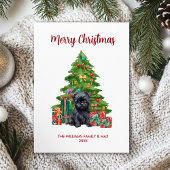 Affenpinscher Hund Familie Weihnachten