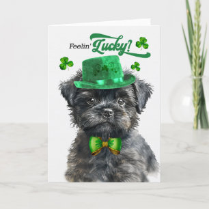 Affenpinscher Hund Feelin' Lucky St Patrick's Day Feiertagskarte