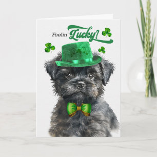 Affenpinscher-Hund fühlt sich am St. Patrick's Day Feiertagskarte