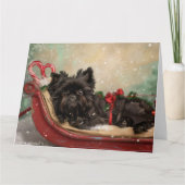 Affenpinscher Hund Weihnachtsfest Karte (Vorderseite)