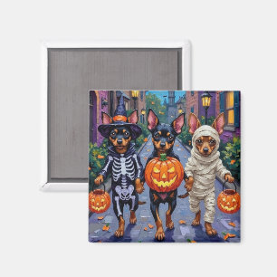 Affenpinscher-Hunde beim Trick-or-Treaten an Hallo Magnet