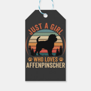 Affenpinscher-Hundefreund Retro-Sonnenuntergang Mä Geschenkanhänger