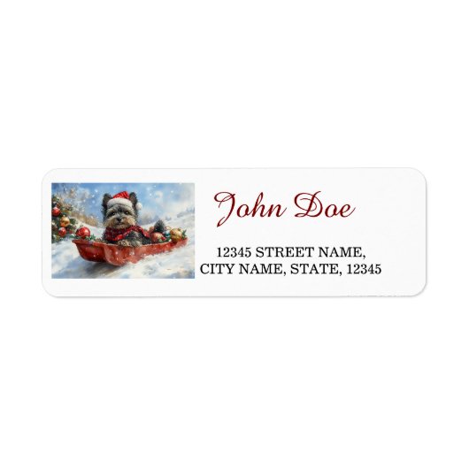 Affenpinscher in der Schnee-Weihnachtsweihnachtsze (Vorne)