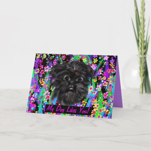 AFFENPINSCHER KARTE (Vorderseite)