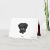 AFFENPINSCHER KARTE (Rückseite)