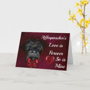 AFFENPINSCHER  KARTE