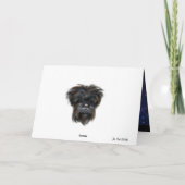 AFFENPINSCHER  KARTE (Rückseite)