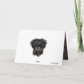 AFFENPINSCHER KARTE (Rückseite)
