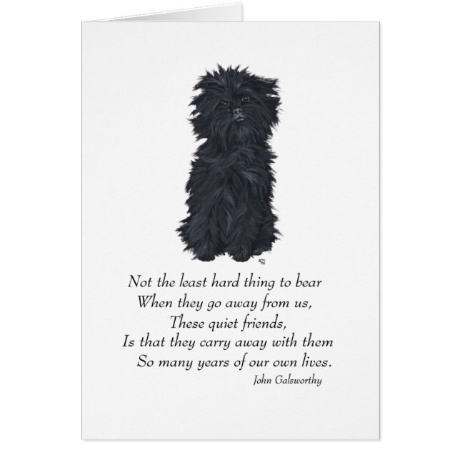 Affenpinscher Keepake (Vorne)