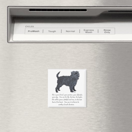 Affenpinscher Keepake Magnet (In Situ (Geschirrspüler))