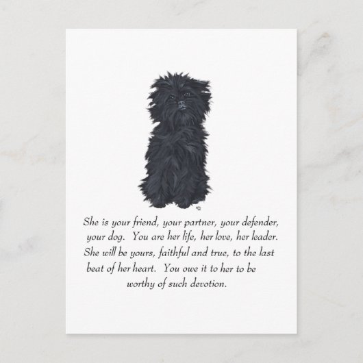 Affenpinscher Keepake Postkarte (Vorderseite)
