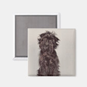 Affenpinscher Magnet (Vorderseite/Rückseite)